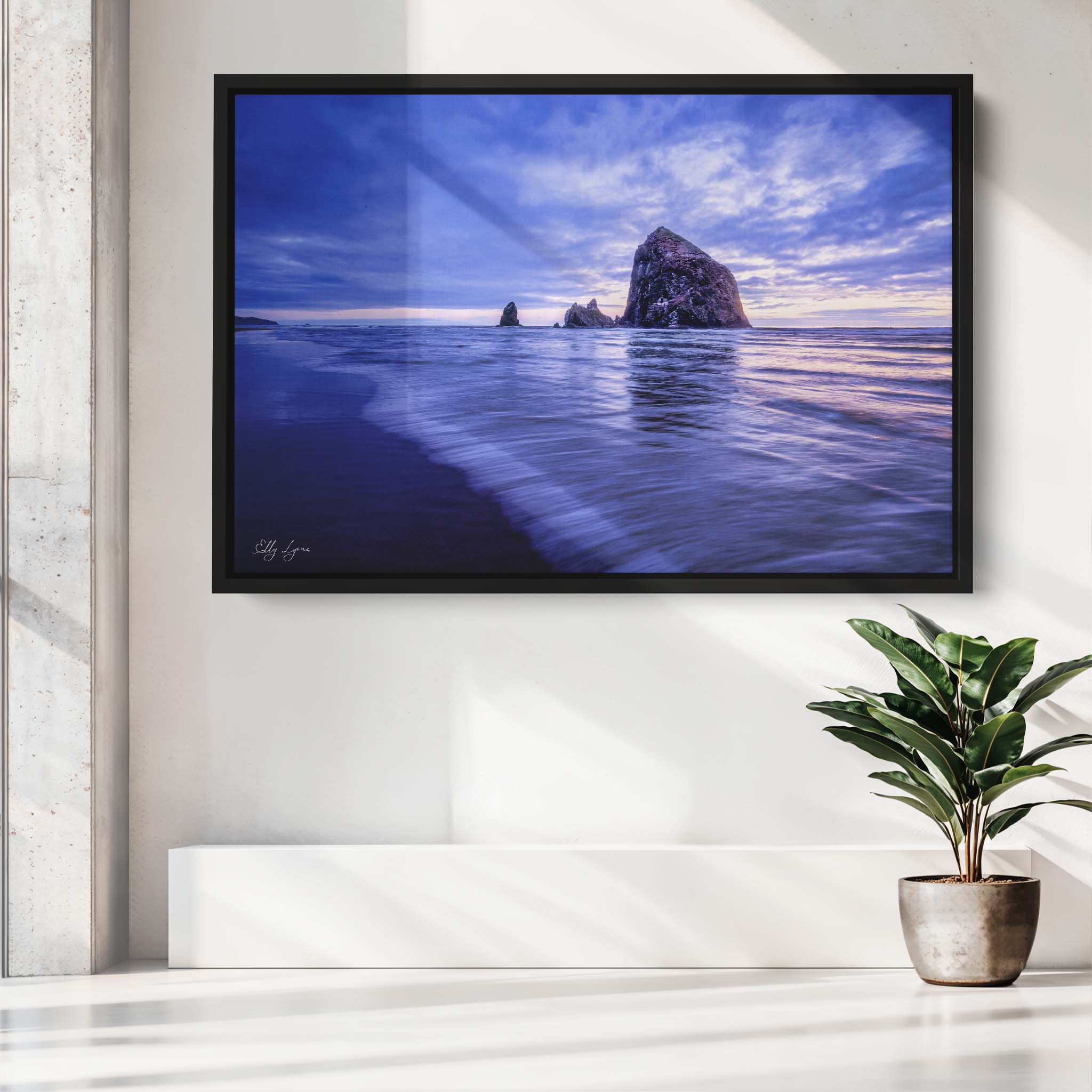 "Steadfast" - Fine Art Coastal Photography Print at Cannon Beach, Oregon