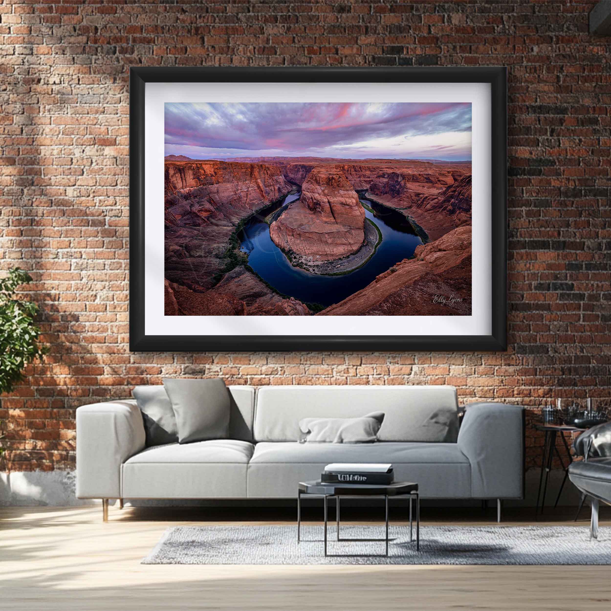 “The Path of Persistence” - Horseshoe Bend