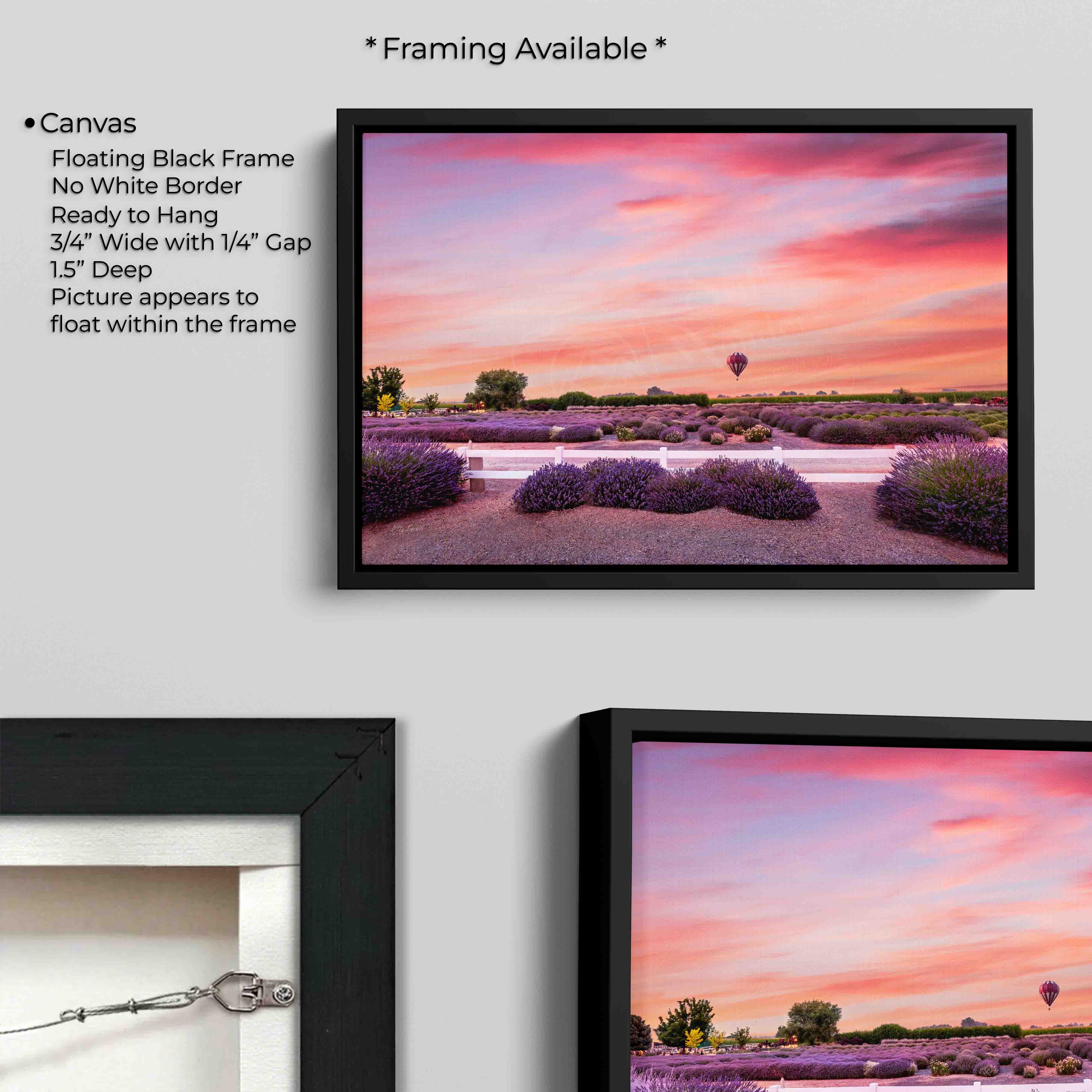 Hot Air Balloon Over Lavender Fields Print - “The Stillness of Joy”