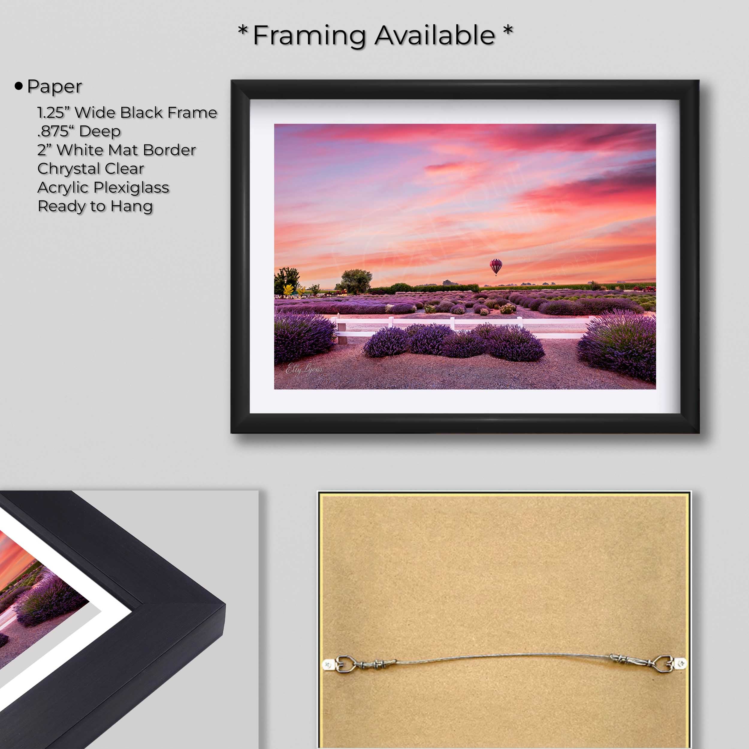 Hot Air Balloon Over Lavender Fields Print - “The Stillness of Joy”