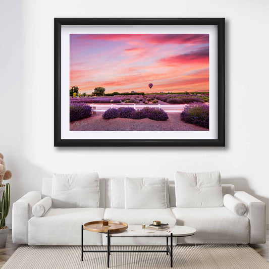 Hot Air Balloon Over Lavender Fields Print - “The Stillness of Joy”