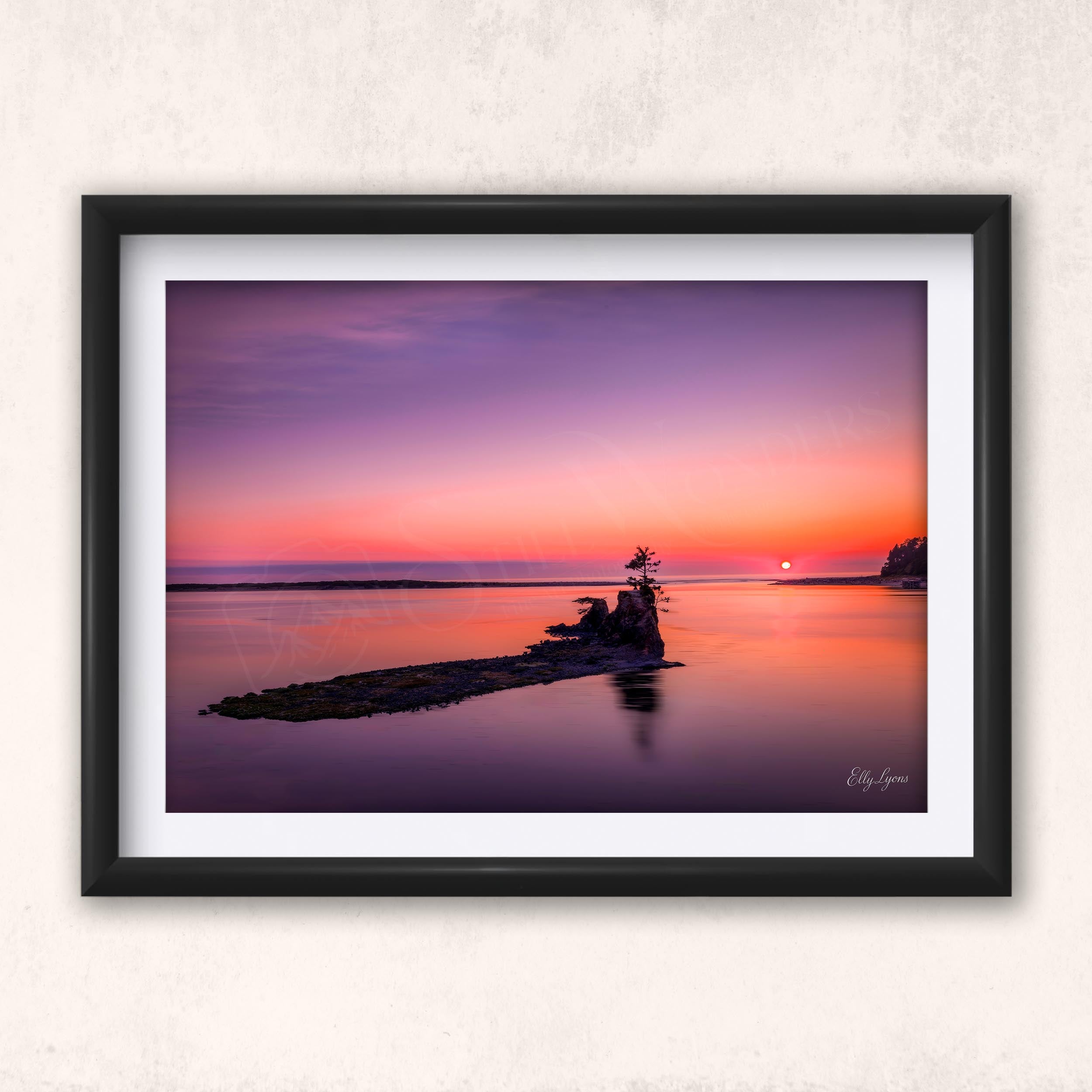 “Unshaken” - Pacific Northwest Sunset