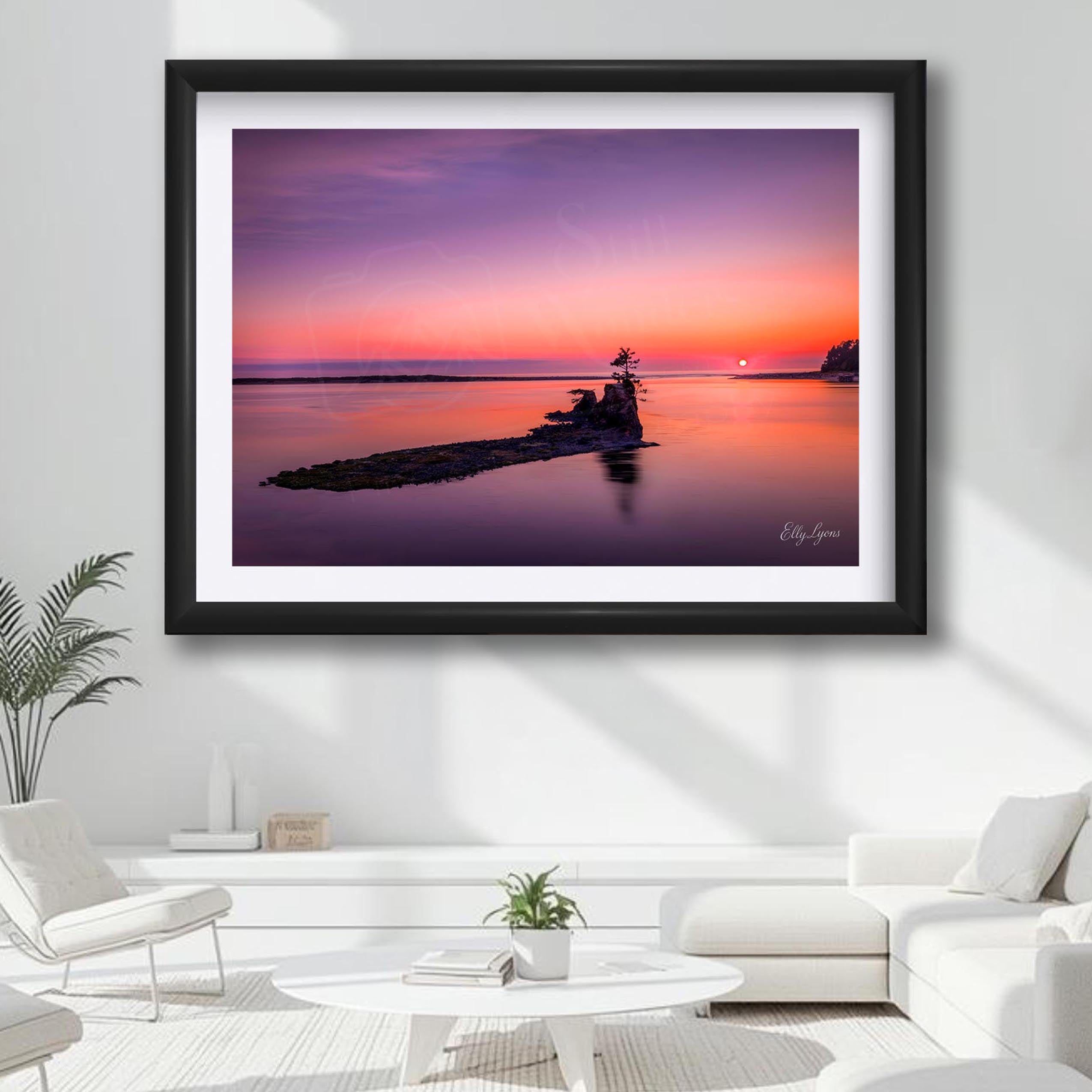 “Unshaken” - Pacific Northwest Sunset