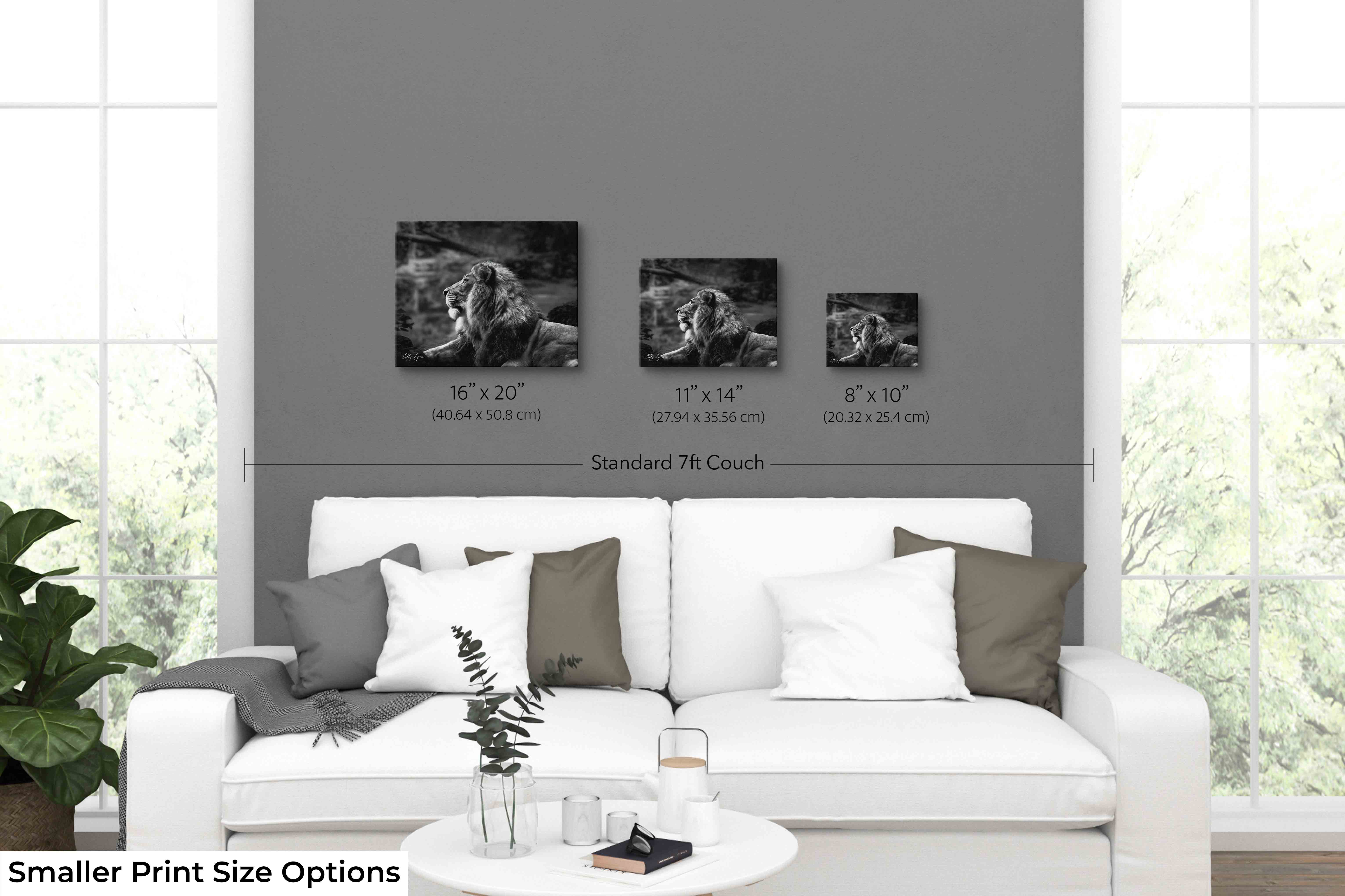 Black White Lion Print – Majestic Lion Portrait Fine Art Photography Wall Art