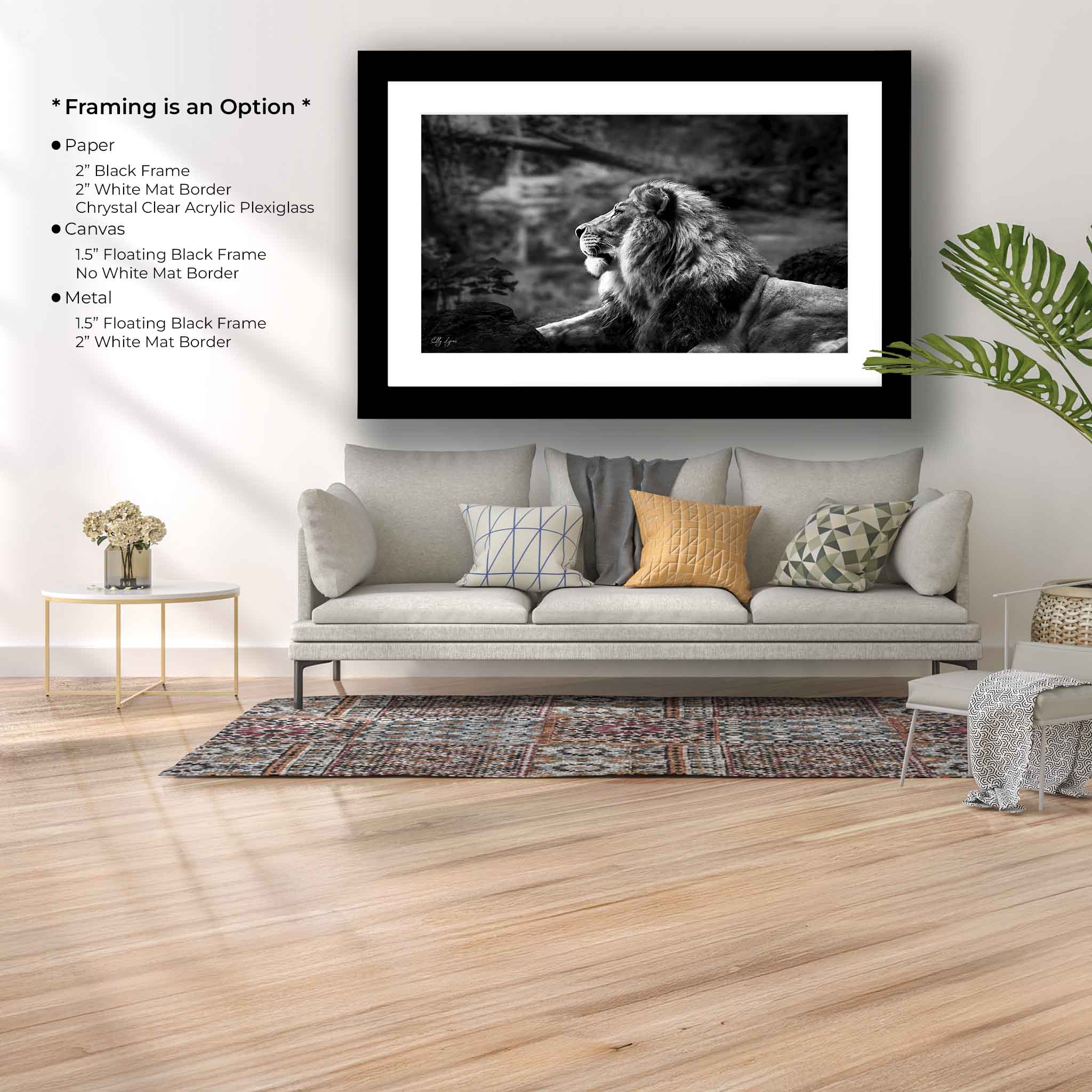 Black White Lion Print – Majestic Lion Portrait Fine Art Photography Wall Art
