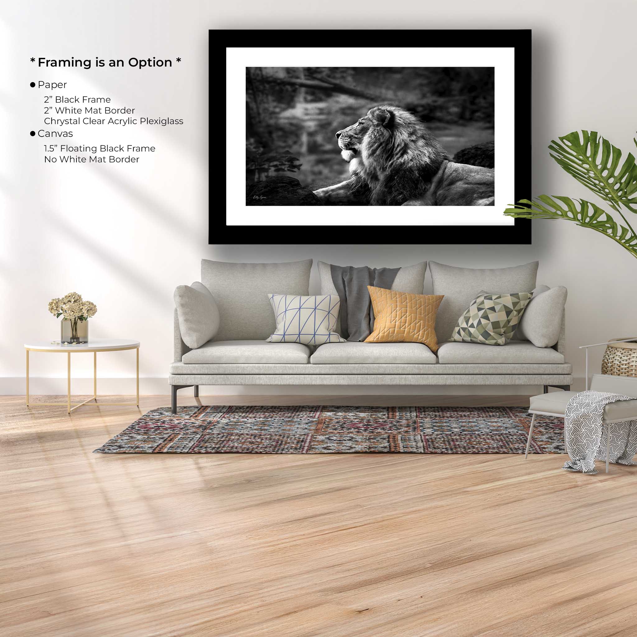 Black White Lion Print – Majestic Lion Portrait Fine Art Photography Wall Art