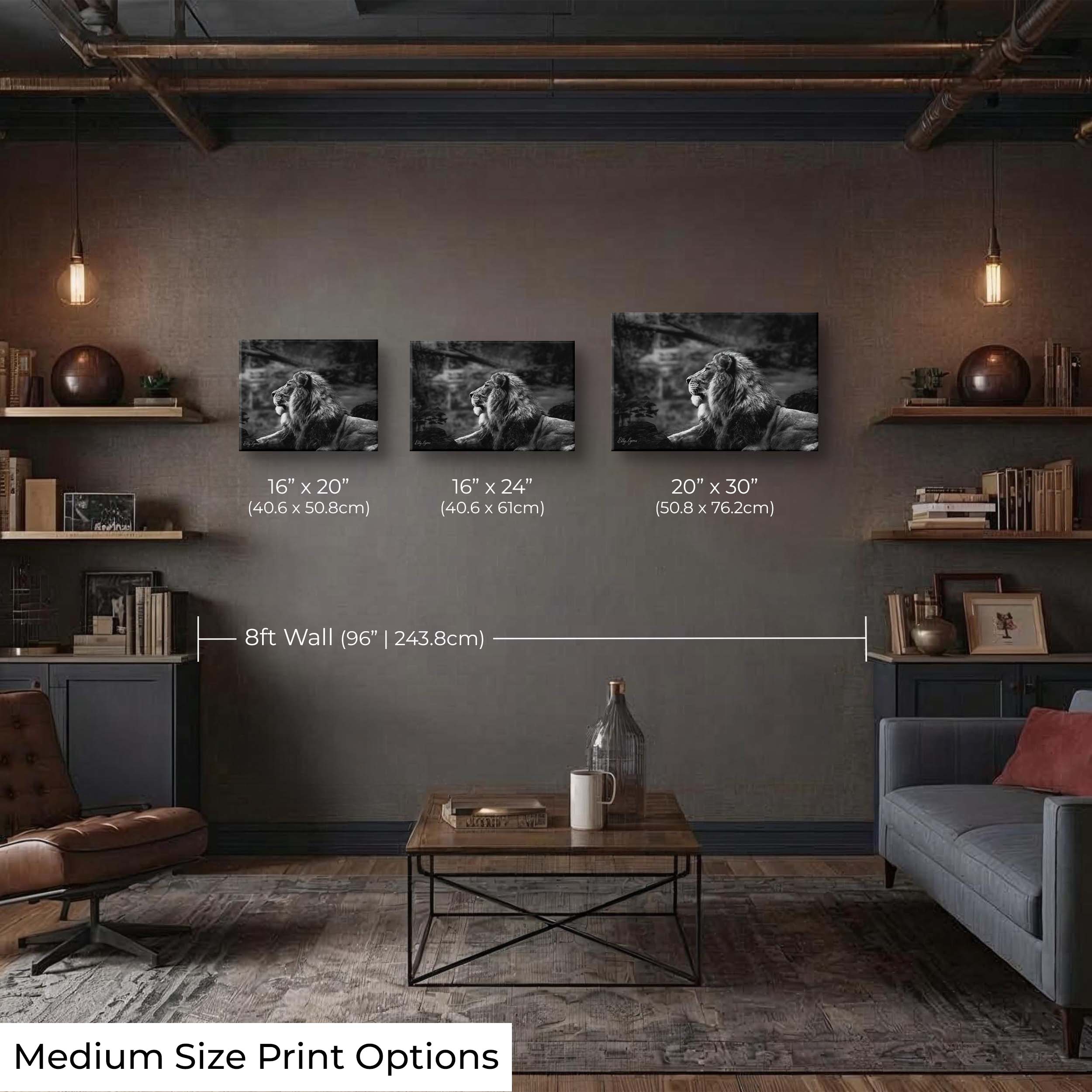 Black & White Lion Print