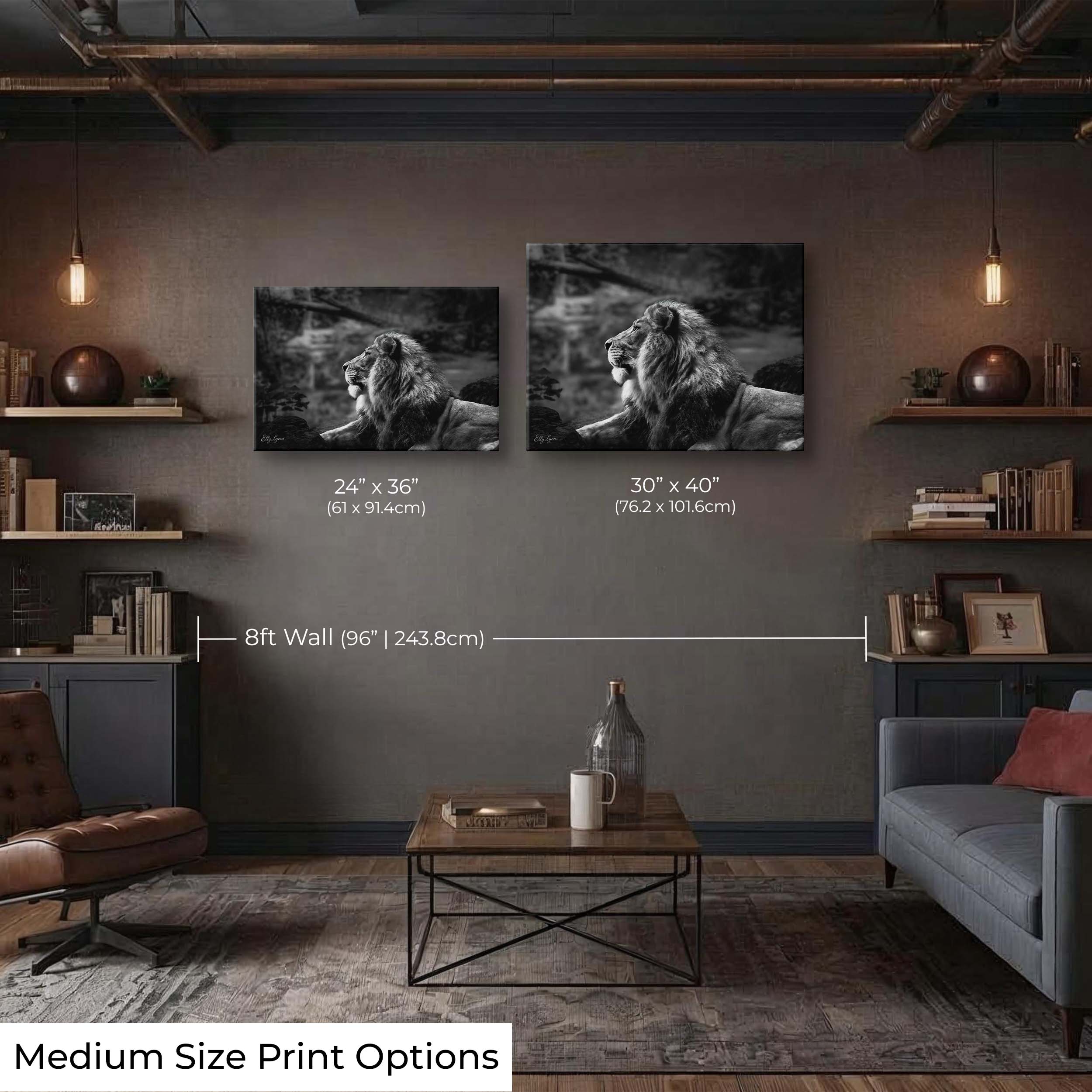 Black & White Lion Print