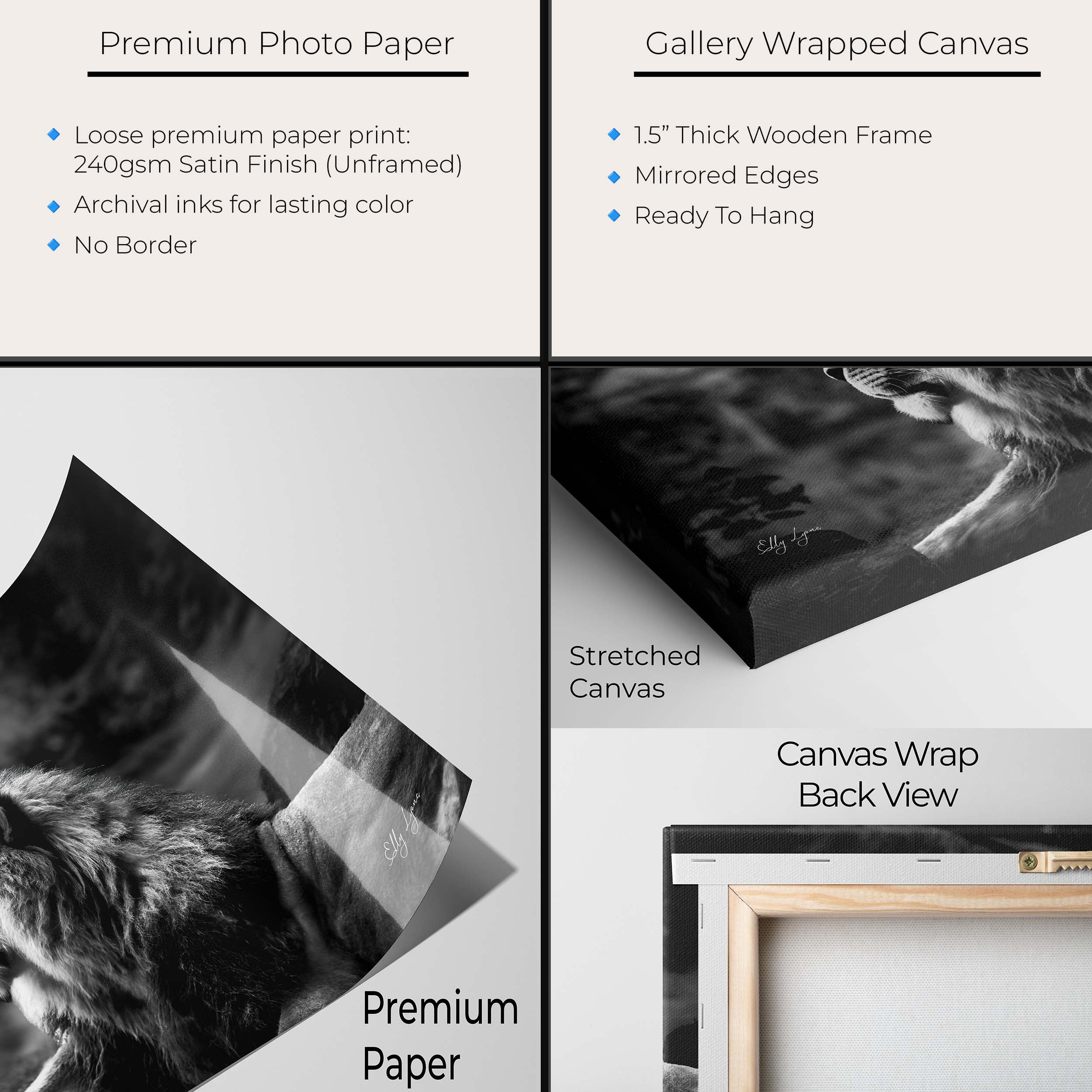 Black White Lion Print – Majestic Lion Portrait Fine Art Photography Wall Art