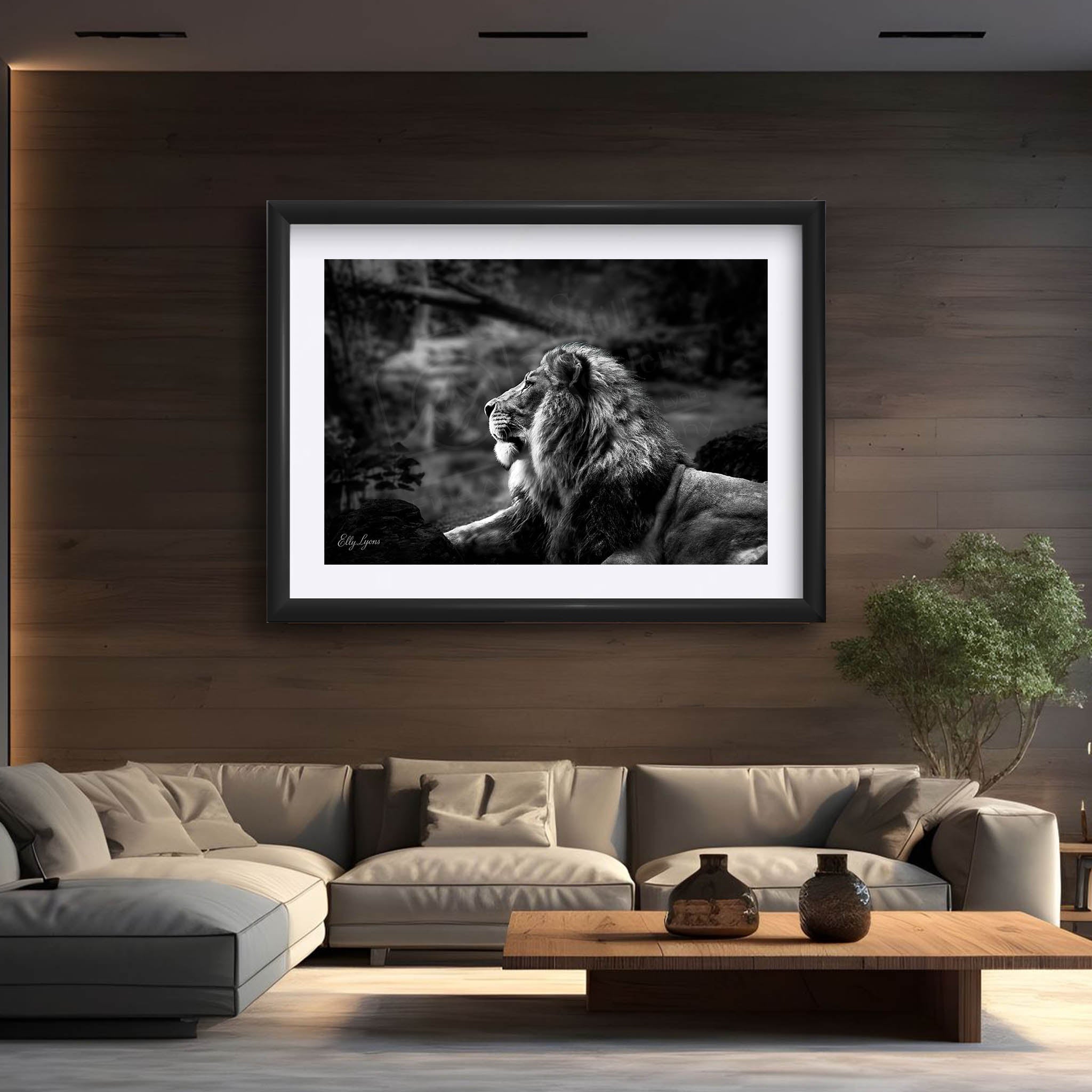 Black & White Lion Print