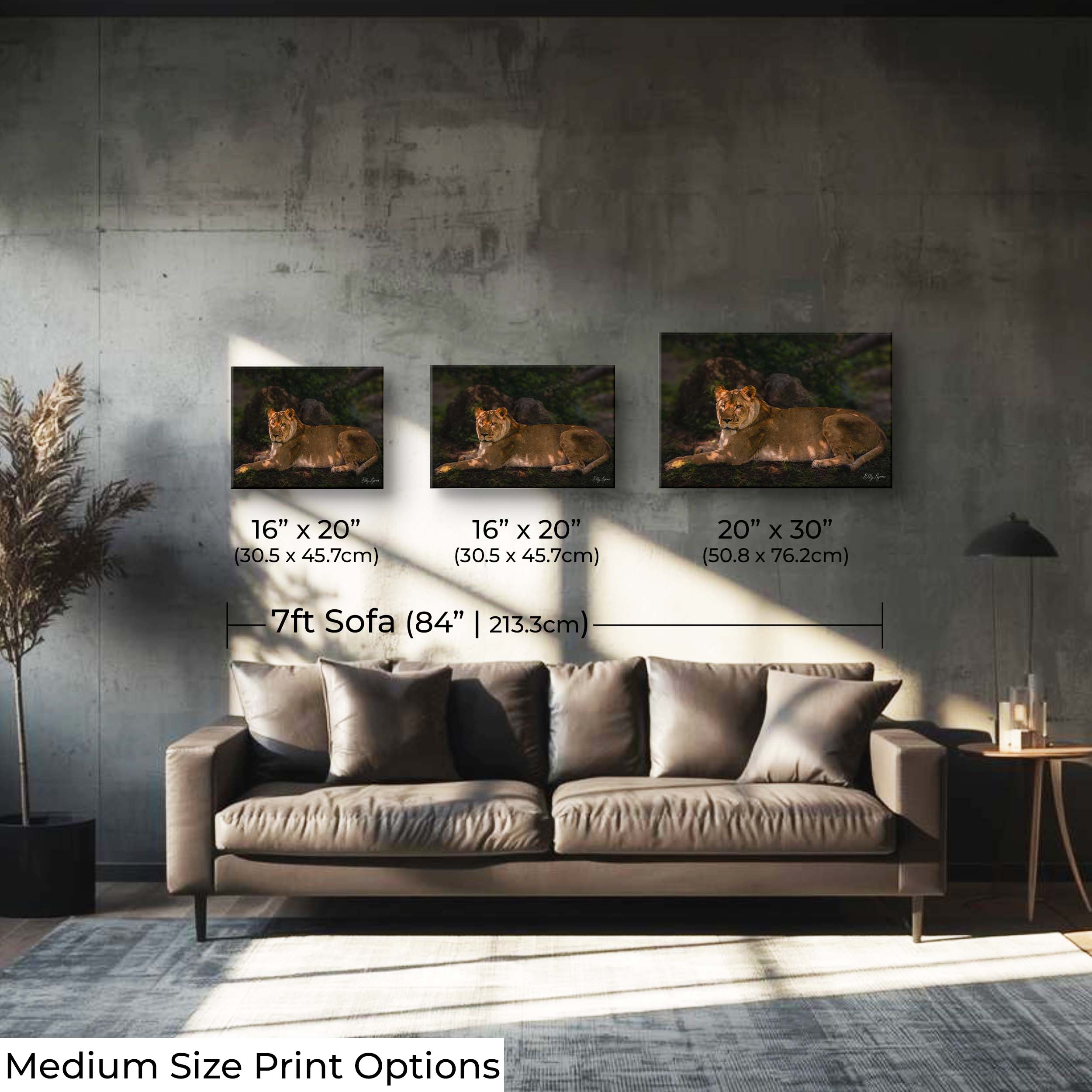 African Lioness Print – Majestic Wildlife Wall Decor