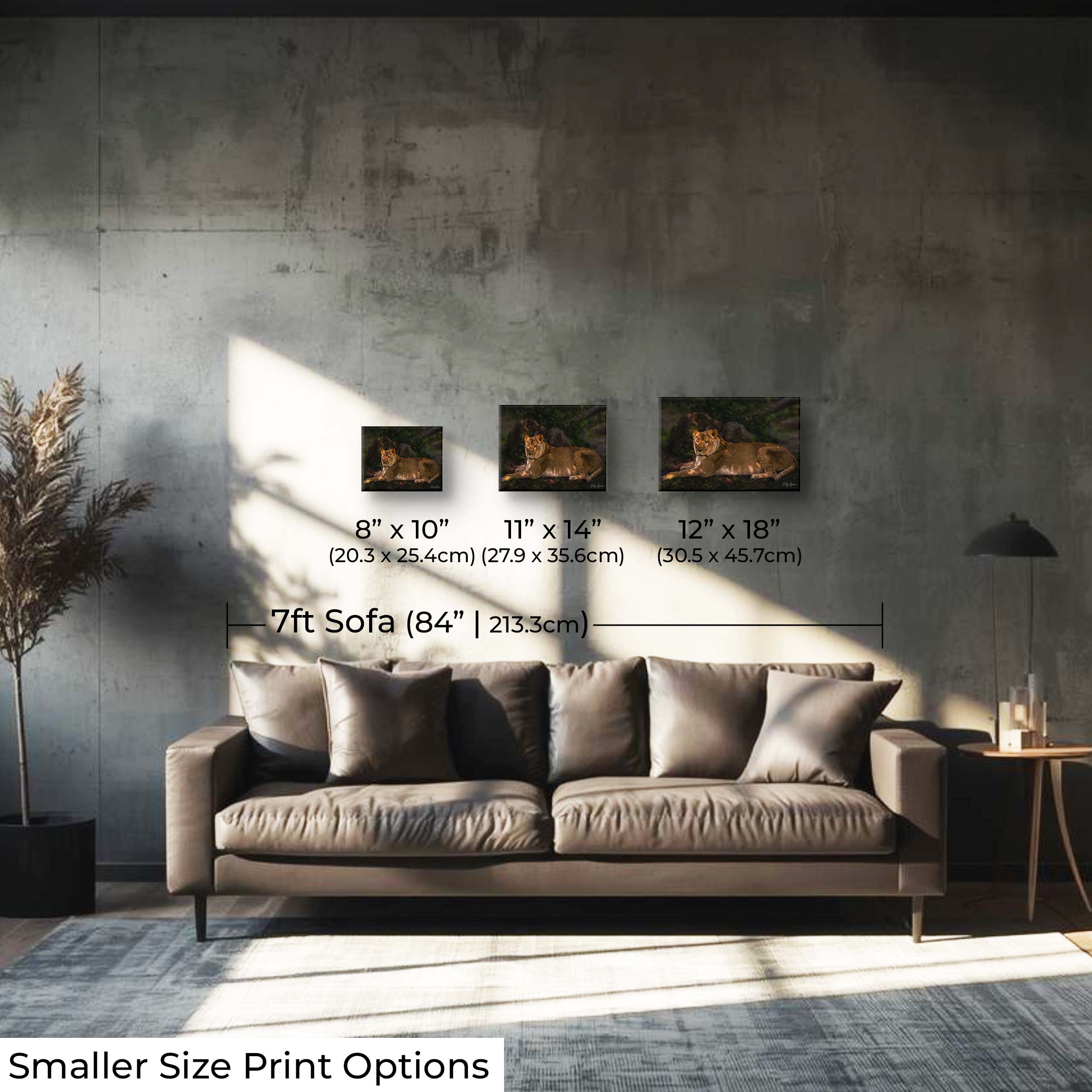 African Lioness Print – Majestic Wildlife Wall Decor