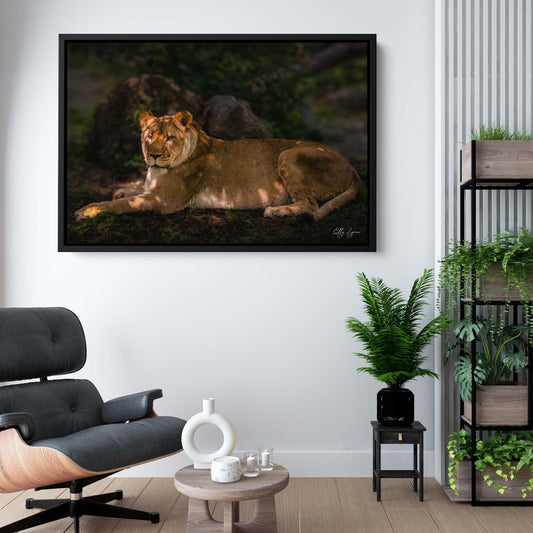 African Lioness Art Print – Majestic Wildlife Wall Art | Resting Lioness Decor