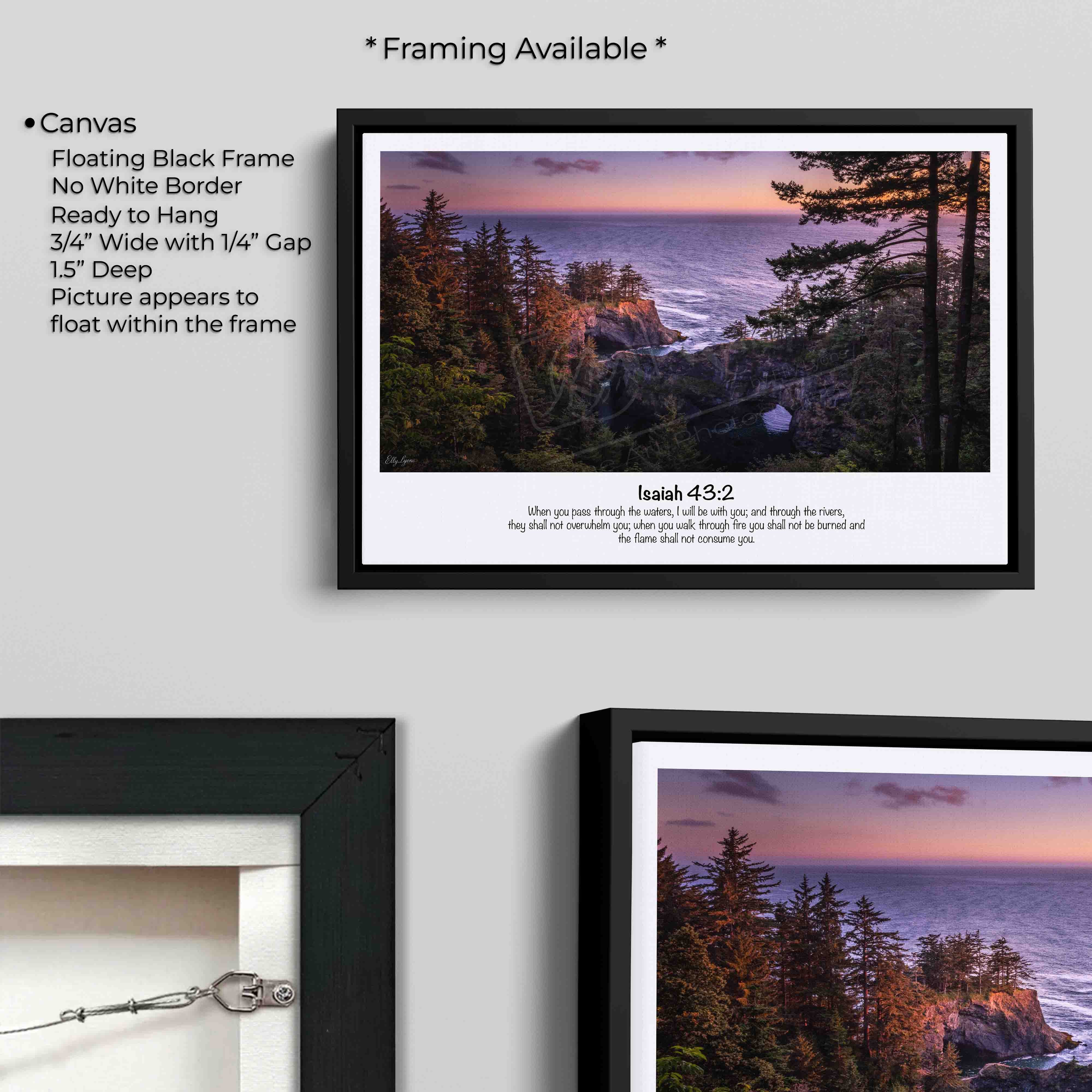 “Through the Storm” — Natural Bridges