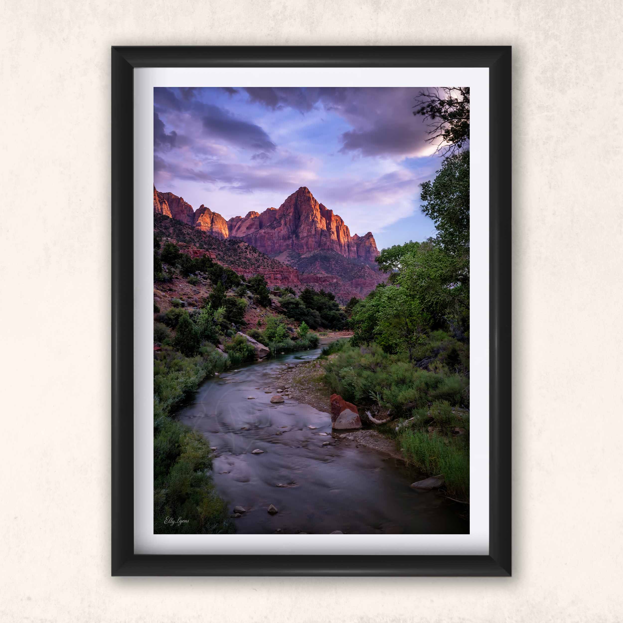 “Valley of Peace" - Zion National Park